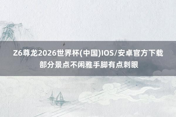 Z6尊龙2026世界杯(中国)IOS/安卓官方下载 部分景点不闲雅手脚有点刺眼