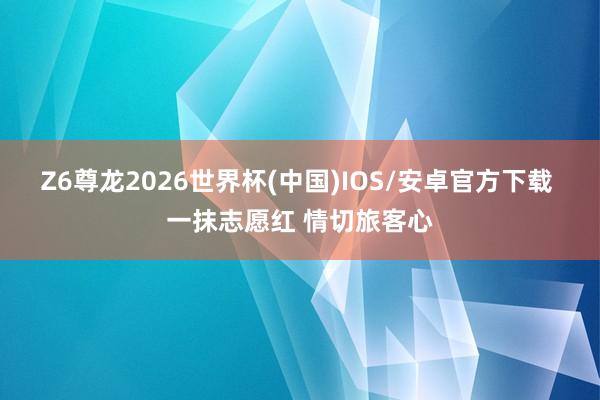 Z6尊龙2026世界杯(中国)IOS/安卓官方下载 一抹志愿红 情切旅客心