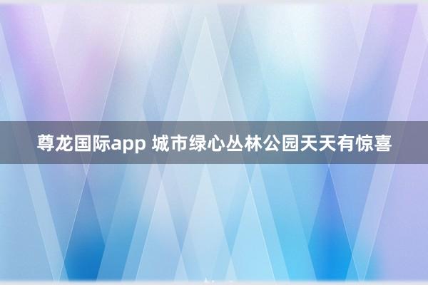 尊龙国际app 城市绿心丛林公园天天有惊喜
