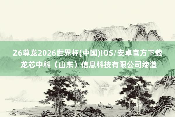 Z6尊龙2026世界杯(中国)IOS/安卓官方下载 龙芯中科（山东）信息科技有限公司缔造