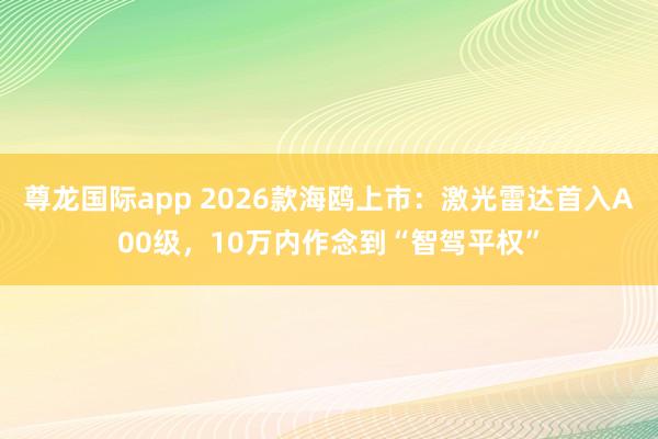 尊龙国际app 2026款海鸥上市：激光雷达首入A00级，10万内作念到“智驾平权”