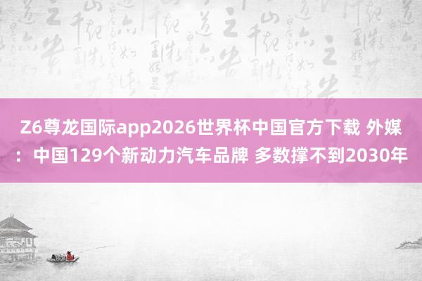 Z6尊龙国际app2026世界杯中国官方下载 外媒：中国129个新动力汽车品牌 多数撑不到2030年