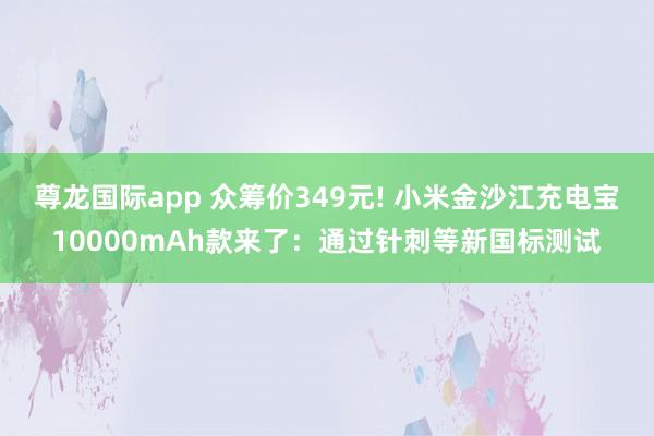 尊龙国际app 众筹价349元! 小米金沙江充电宝10000mAh款来了：通过针刺等新国标测试