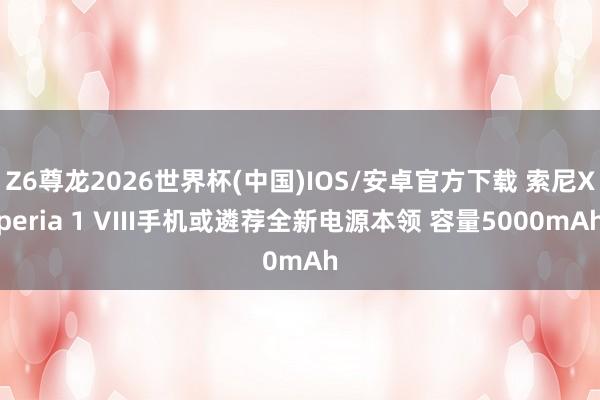 Z6尊龙2026世界杯(中国)IOS/安卓官方下载 索尼Xperia 1 VIII手机或遴荐全新电源本领 容量5000mAh