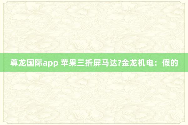 尊龙国际app 苹果三折屏马达?金龙机电：假的