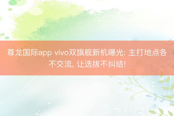 尊龙国际app vivo双旗舰新机曝光: 主打地点各不交流, 让选拔不纠结!