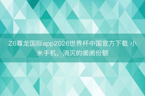 Z6尊龙国际app2026世界杯中国官方下载 小米手机，消灭的阛阓份额