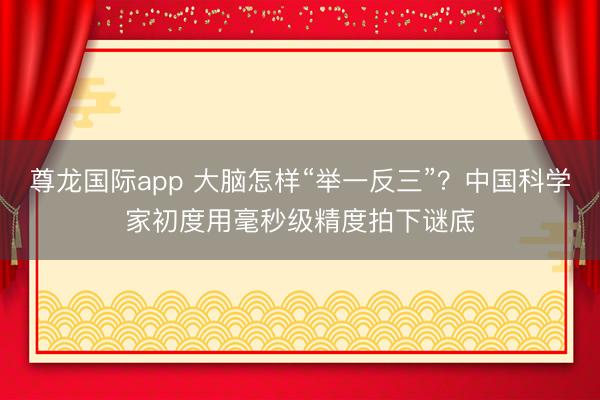 尊龙国际app 大脑怎样“举一反三”?中国科学家初度用毫秒级精度拍下谜底