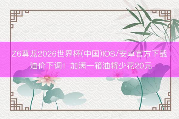 Z6尊龙2026世界杯(中国)IOS/安卓官方下载 油价下调！加满一箱油将少花20元