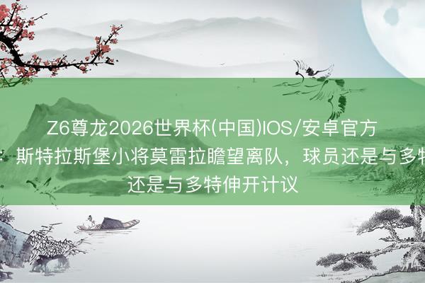 Z6尊龙2026世界杯(中国)IOS/安卓官方下载 记者:斯特拉斯堡小将莫雷拉瞻望离队,球员还是与多特伸开计议