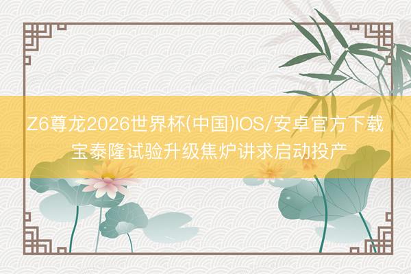 Z6尊龙2026世界杯(中国)IOS/安卓官方下载 宝泰隆试验升级焦炉讲求启动投产