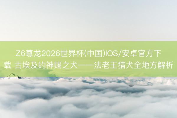 Z6尊龙2026世界杯(中国)IOS/安卓官方下载 古埃及的神赐之犬——法老王猎犬全地方解析