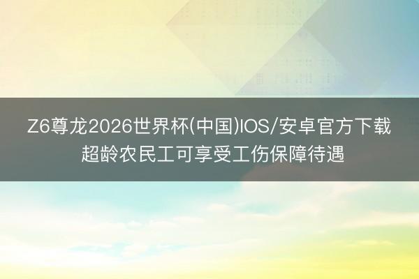 Z6尊龙2026世界杯(中国)IOS/安卓官方下载 超龄农民工可享受工伤保障待遇