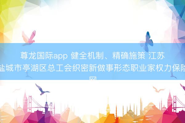 尊龙国际app 健全机制、精确施策 江苏省盐城市亭湖区总工会织密新做事形态职业家权力保险网