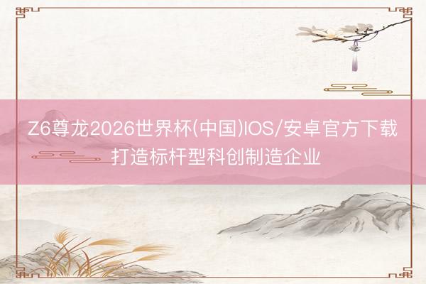 Z6尊龙2026世界杯(中国)IOS/安卓官方下载 打造标杆型科创制造企业