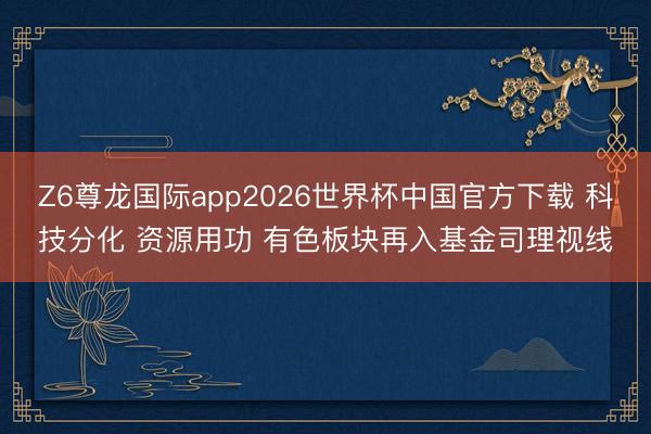 Z6尊龙国际app2026世界杯中国官方下载 科技分化 资源用功 有色板块再入基金司理视线