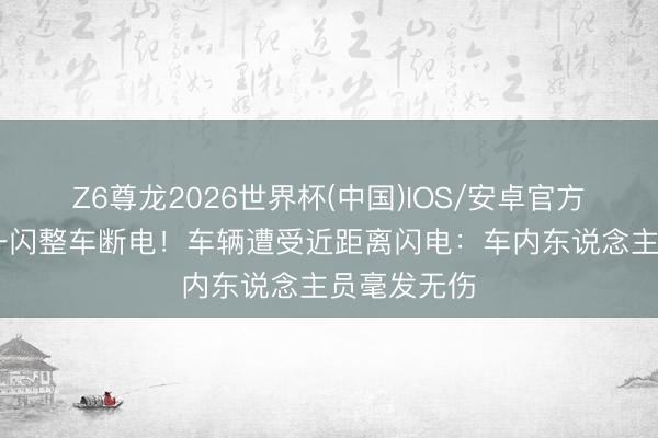 Z6尊龙2026世界杯(中国)IOS/安卓官方下载 强光一闪整车断电！车辆遭受近距离闪电：车内东说念主员毫发无伤