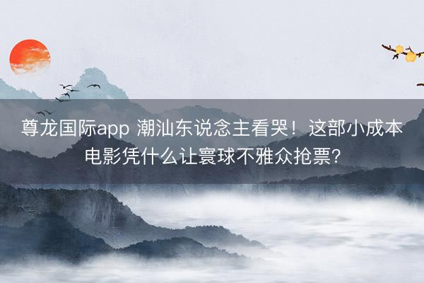 尊龙国际app 潮汕东说念主看哭！这部小成本电影凭什么让寰球不雅众抢票？